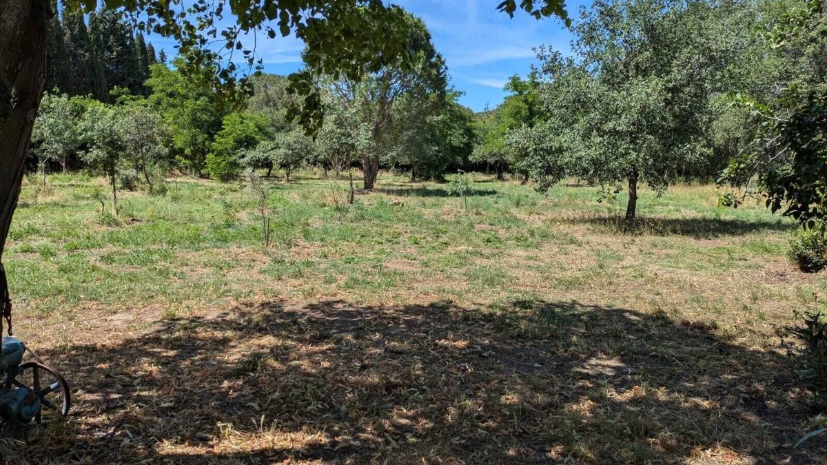 Montesquieu-des-Alberes Apartment | Magnificent studio in the heart of nature