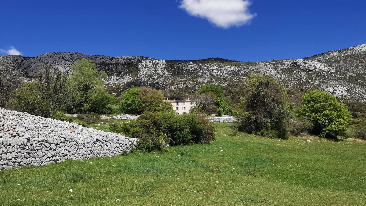 Bargeme Apartment | MAGNIFICENT "BASTIDE" GITE ON ORGANIC FARM/DONKEY HANDLING IN LE VERDON