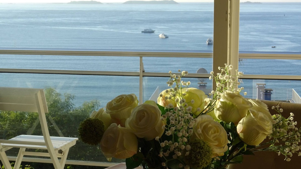 Perros-Guirec Apartment | MAGNIFICENT SEA VIEW in Perros Guirec: Archipelago 7 Islands, beach, pointe de ploumanach