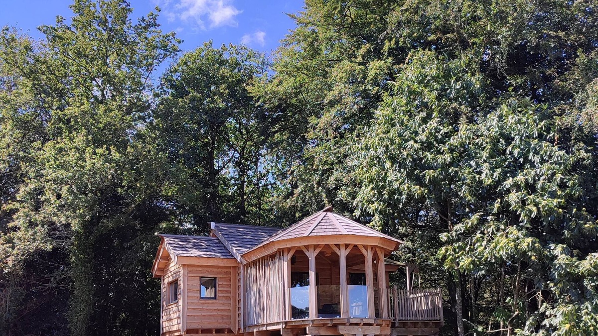 Gomene Cabin | Magnifique Cabane Perchée Avec Jacuzzi Privatif