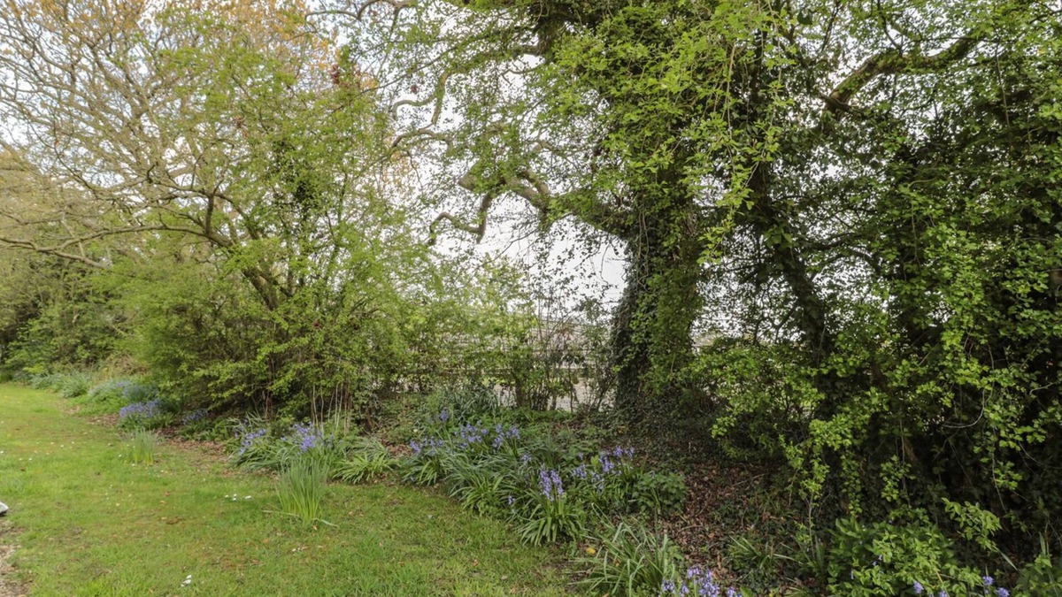 Morpeth Cottage | Magpie Cottage