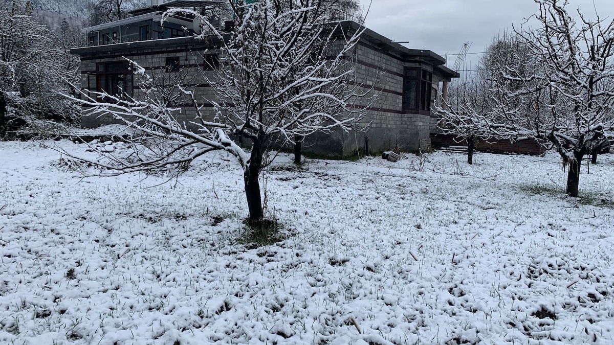 New Manali Cottage | MahaaDev Cottage,Mansari| Homestay | Hostel | Rooms