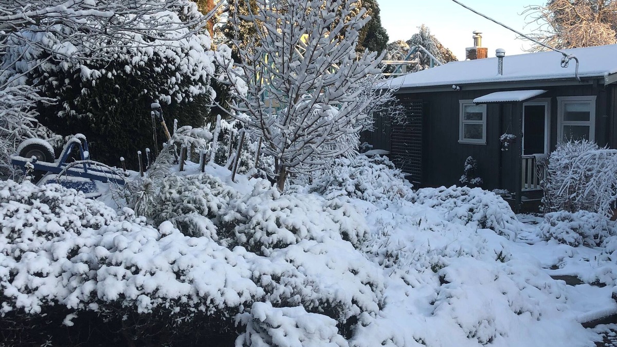 Mount Victoria Cottage | Maisie’s Cottage Cozy 2-bedroom cottage in historic Mount Victoria