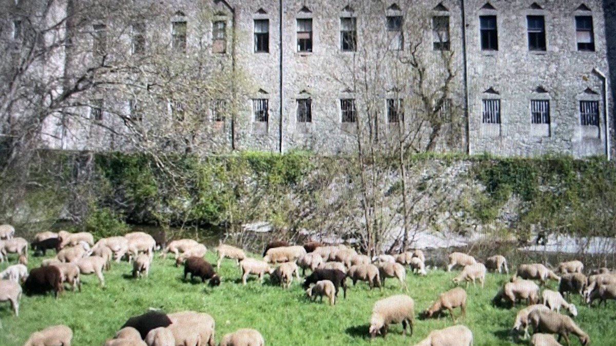 Notre-Dame-de-la-Rouviere House | Maison au coeur des cévennes