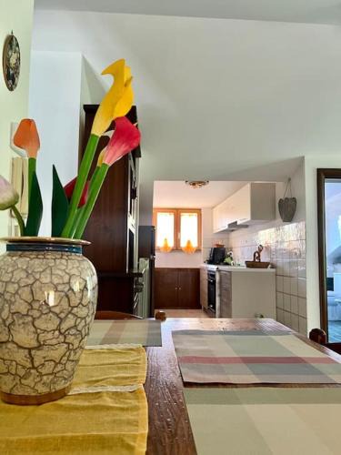Camigliatello Apartment | Maison Camigliati
