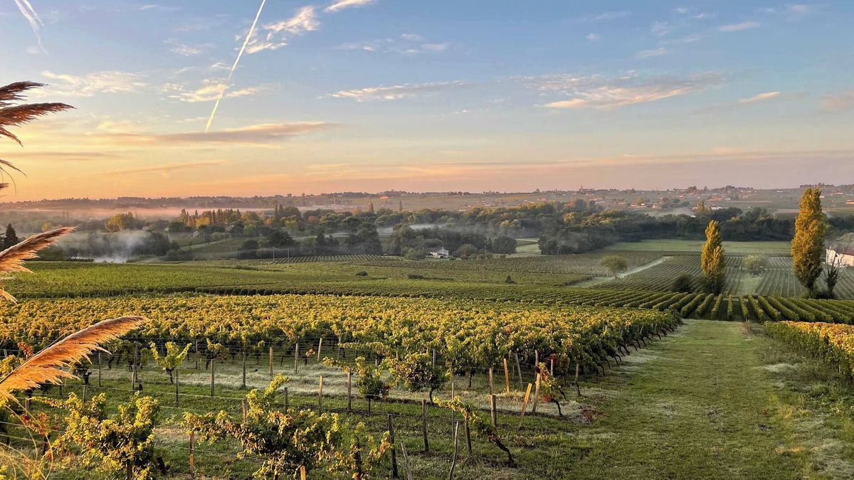 Montagne House | Maison de caractère au cœur des vignes