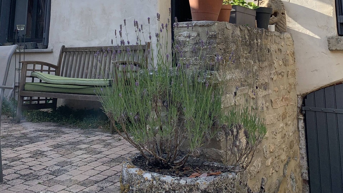 Boury-en-Vexin House | Maison de Charme au Cœur du Vexin