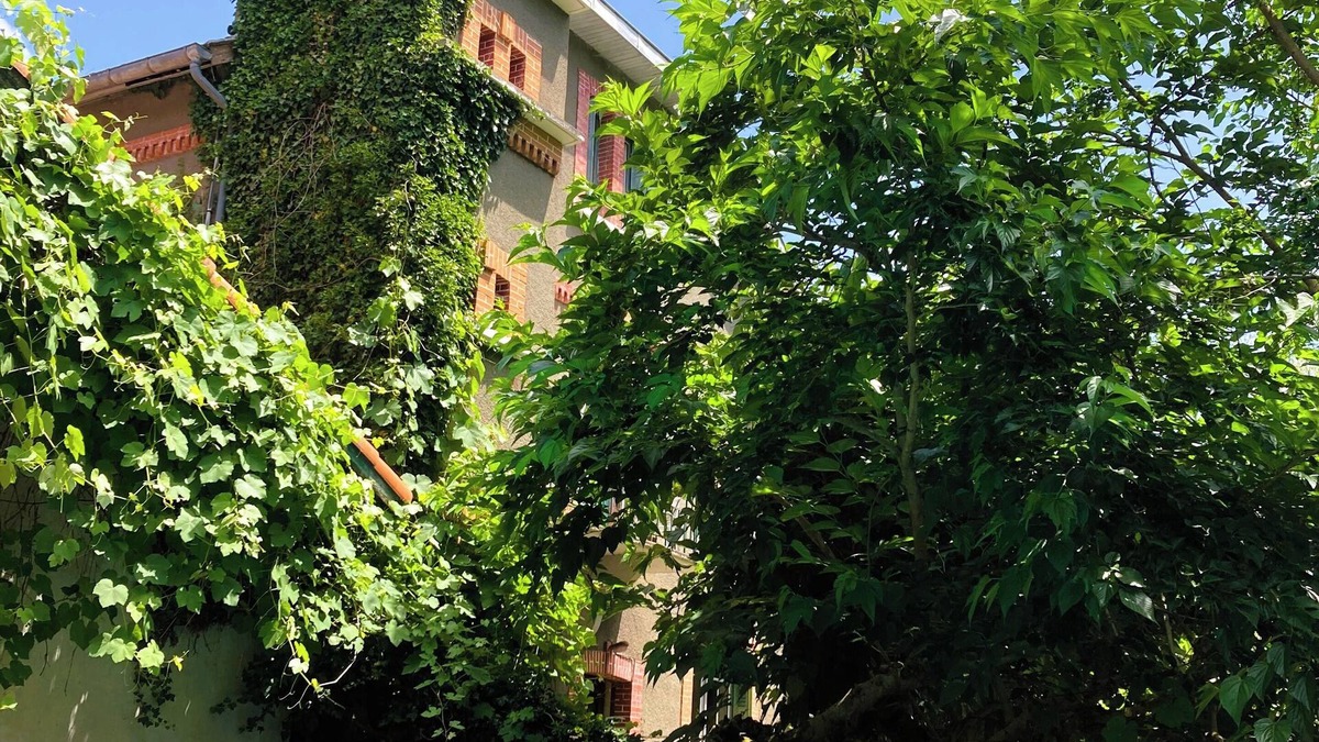 Biert Bed & Breakfast | Maison Esmeralda