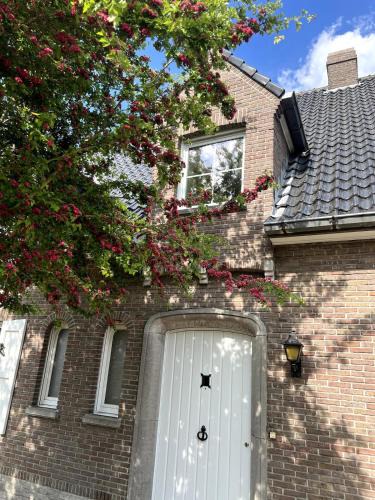 Hertsberge House | Maison Frieda