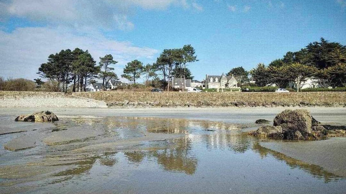 Crozon House | Maison Neuve Presqu'île de Crozon Proche de la Plage