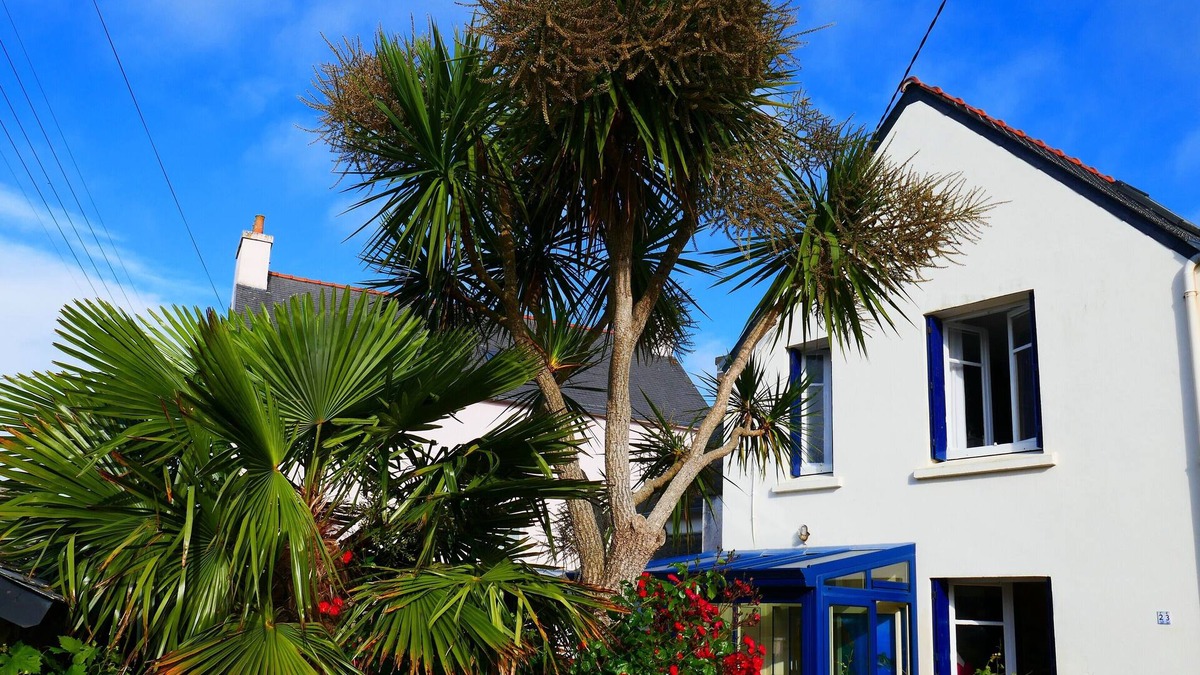 Morgat House | Maison Victorine Morgat beach and port on foot