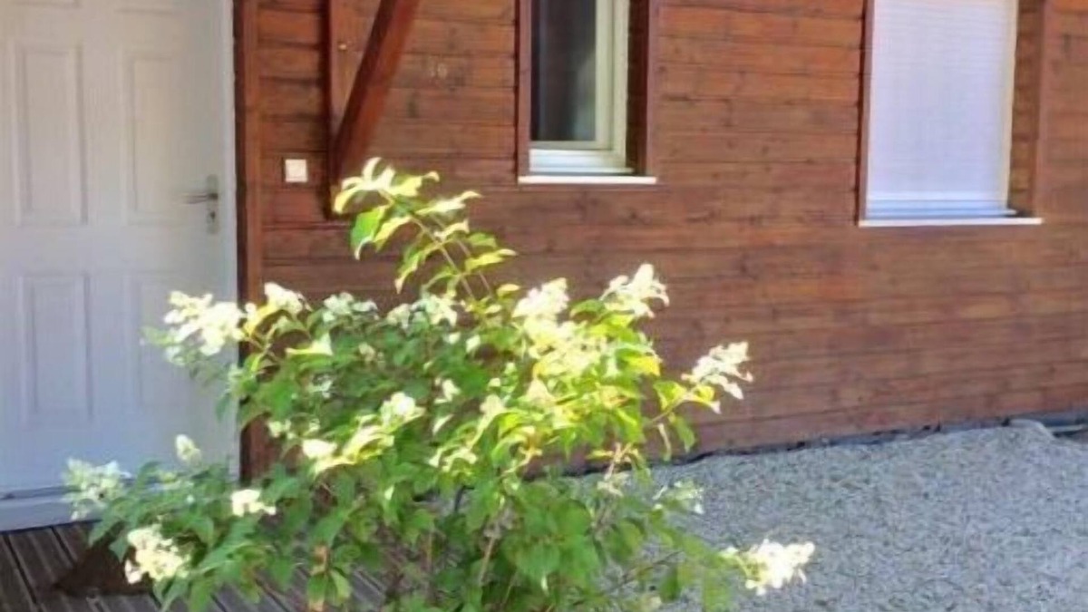 Sanguinet House | Maisonette 600ml from Lac de Sanguinet, for your summer family vacation