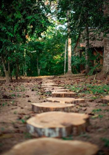 Puerto Maldonado Hostel | Majacho`s House