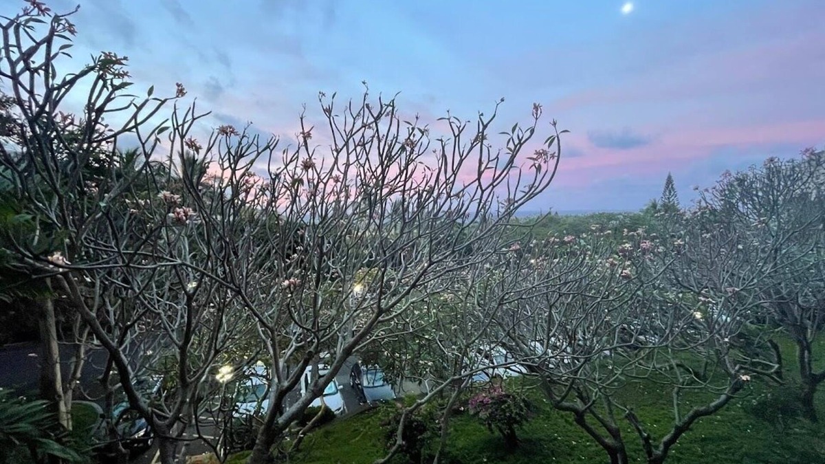 Makaha Valley Condo | Makaha Towers 1 Bedroom Condo