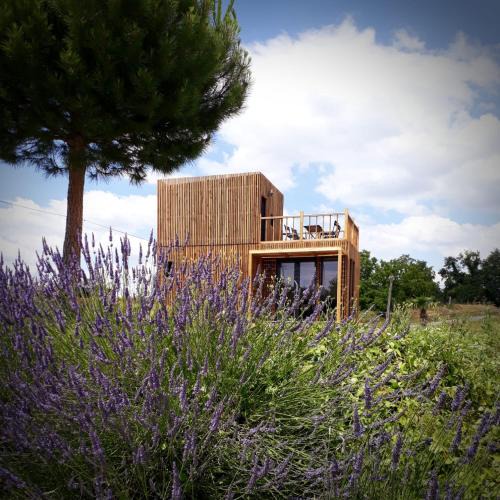 Chateauvieux Cabin | Manège de la Chapinière - DadaLoge tiny-house