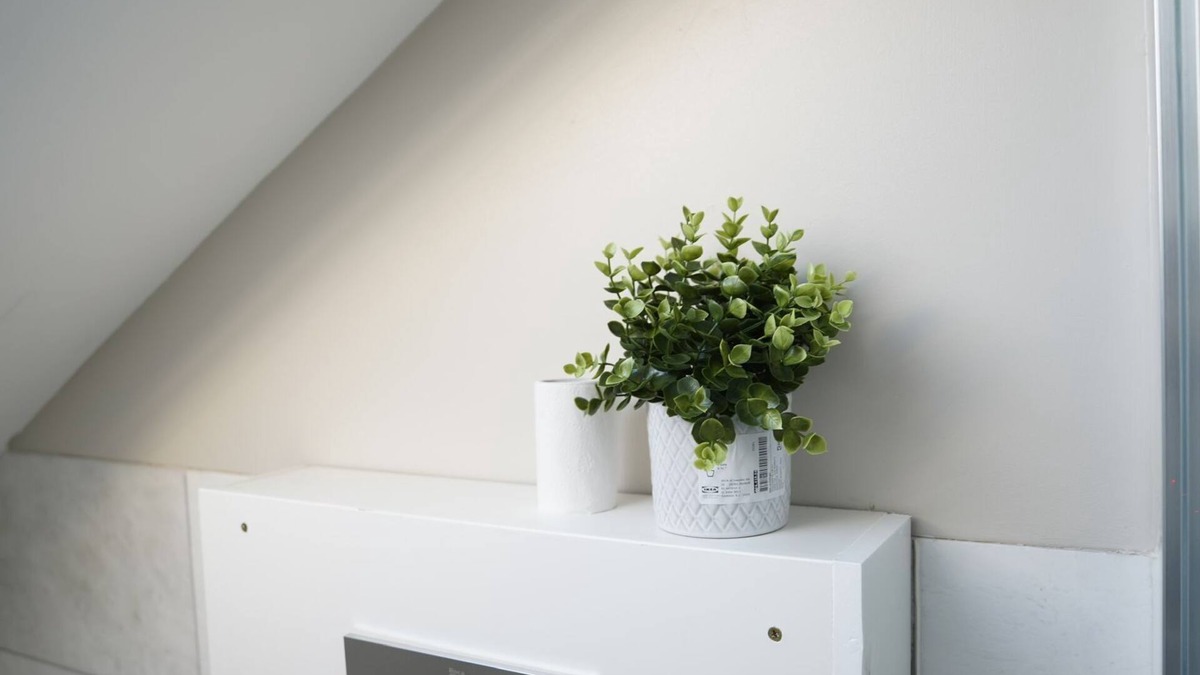 Enfield Lock Villa | Mandeville Guest House