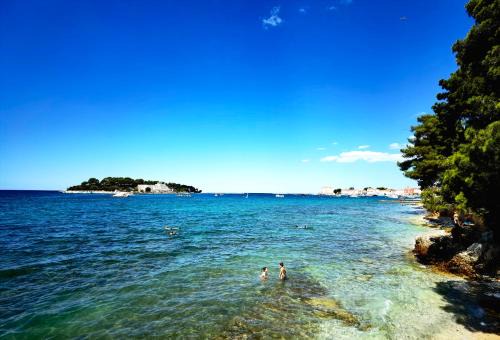 City Center Apartment | Maneo Lux