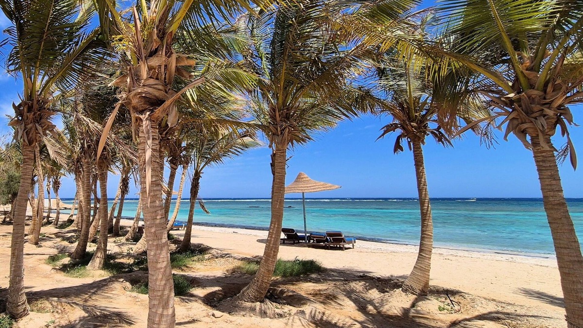 El Quseir Resort | Mangrove Bay Resort