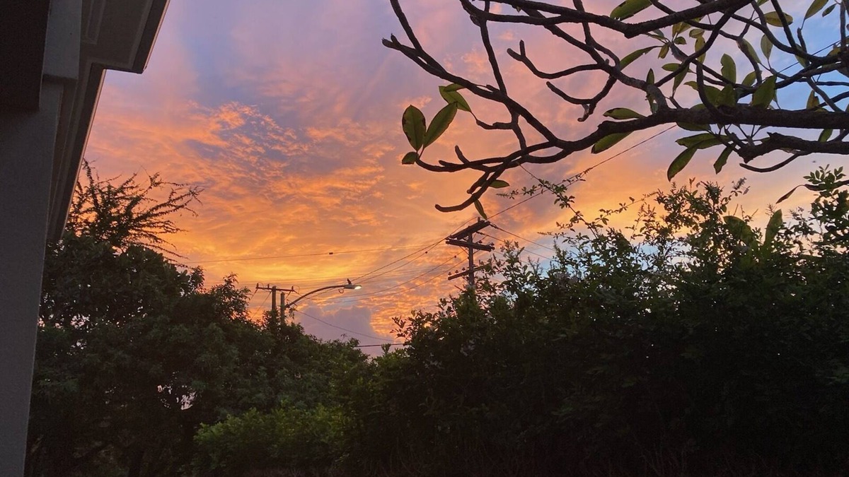 Manoa House | Manoa Cottage with Patios and Decks