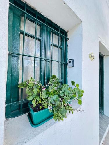 Esquina Apartment | Manuel Apart