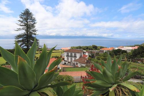 Urzelina Apartment | Mar D'Abstração