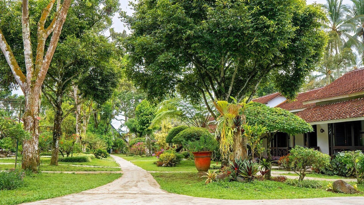 Kalibaru Hotel | Margo Utomo Eco Resort