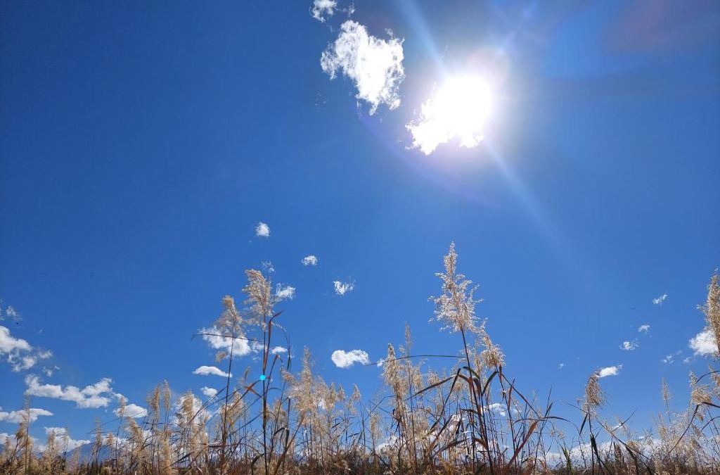 Bella Vista House | Marian