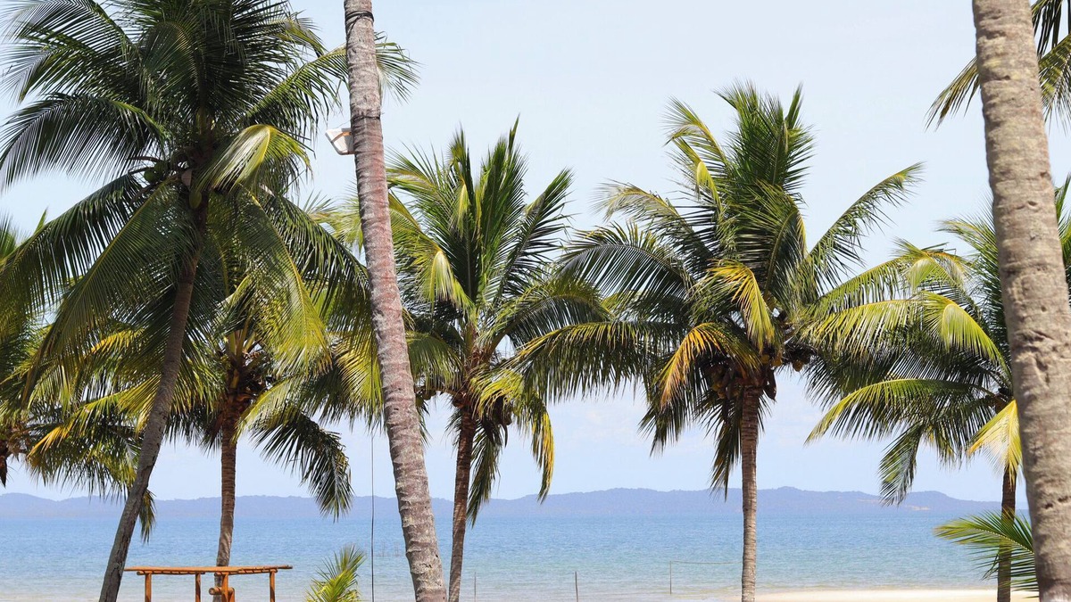 Barra do Paraguacu Hotel | Marina Eco Hotel Praia da Fazenda