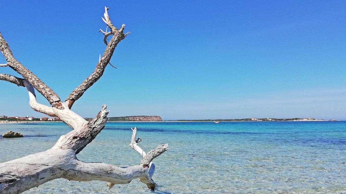 Sa Rocca Tunda House | Marina Di San Vero Milis: House/Villa - Marina di San Vero Milis