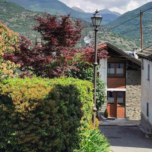 Sinsein Apartment | marmot
