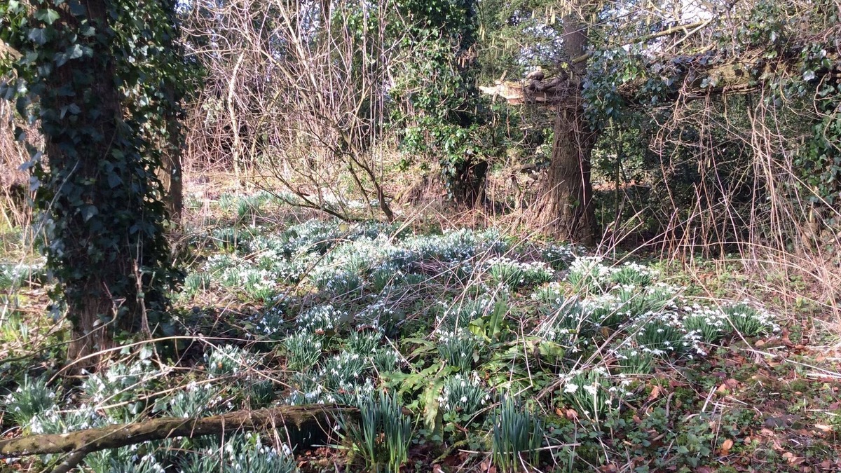 Ebbesborne Wake Other | Marshwood Farm B&B