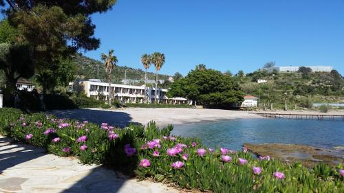 Bozyazi Hotel | Marvel Tree Hotel