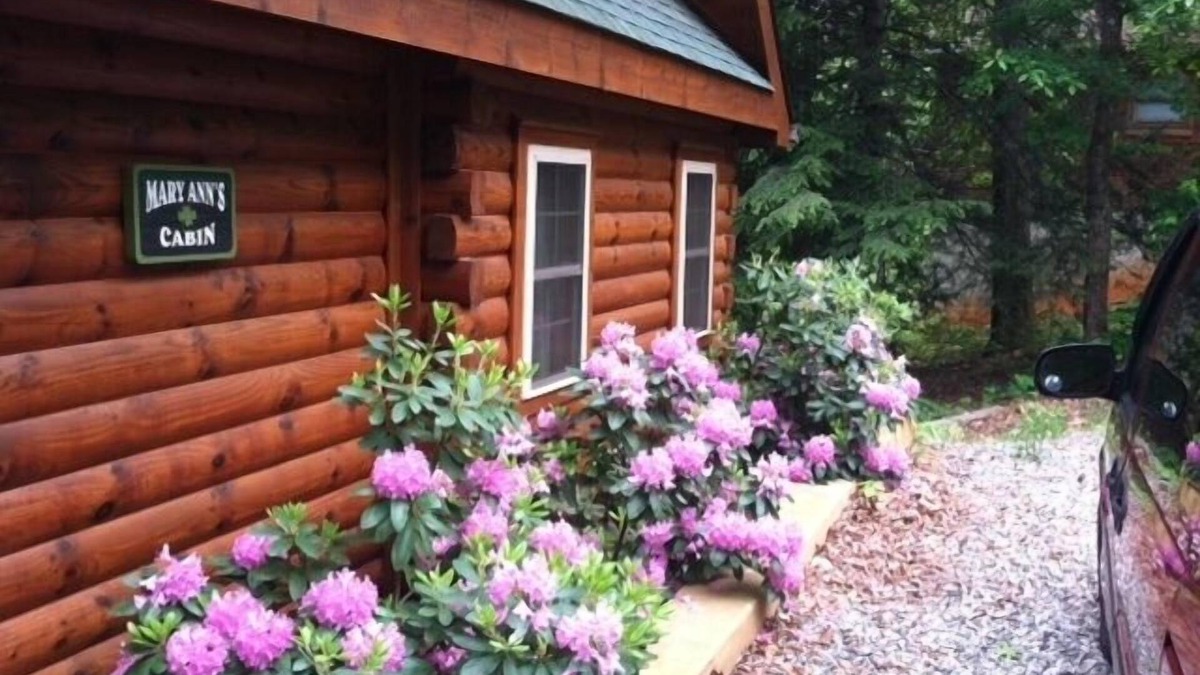 Lake Lure Cabin | Mary Ann's Cabin Open for Business!