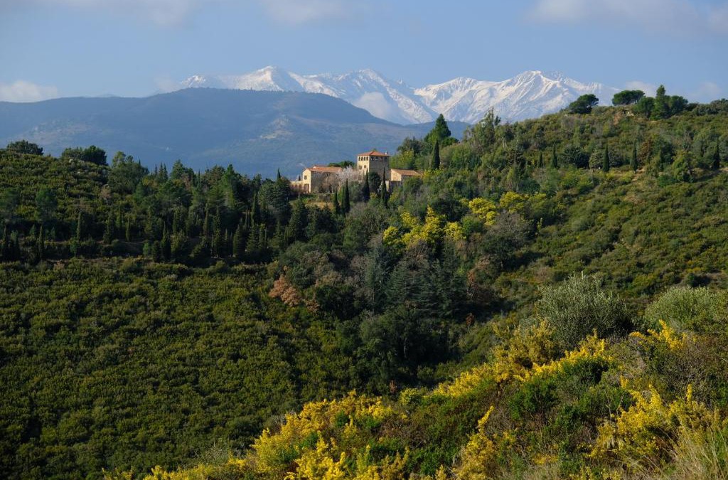 Castelnou House | Mas d'en Llinas