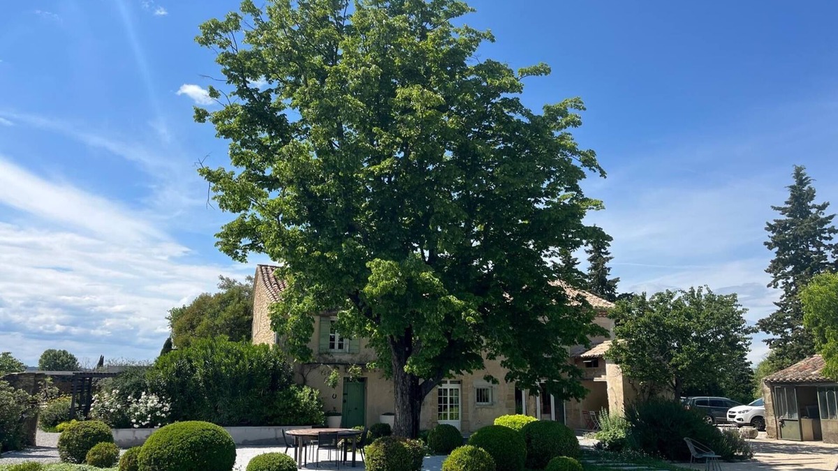 Sainte-Cecile-les-Vignes Other | Mas des Vignes, luxury villa surrounded by vineyards, sleeps 15