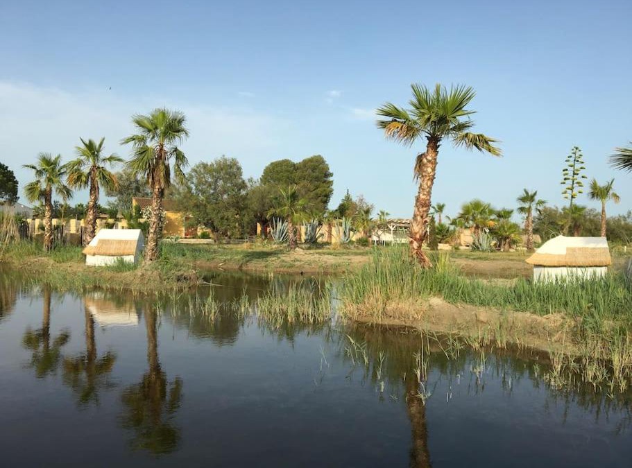 Saint-Laurent-d'Aigouze House | Mas de l isle sauvage aigues mortes