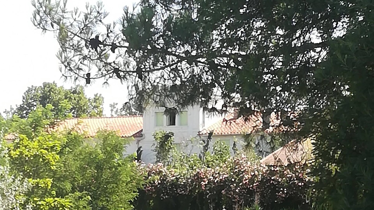 Sainte-Marie-la-Mer House | Mas des Marbres Sauvages property 32 people