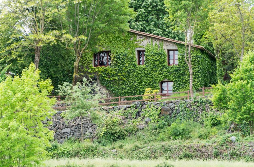 Olot House | Mas La Mata