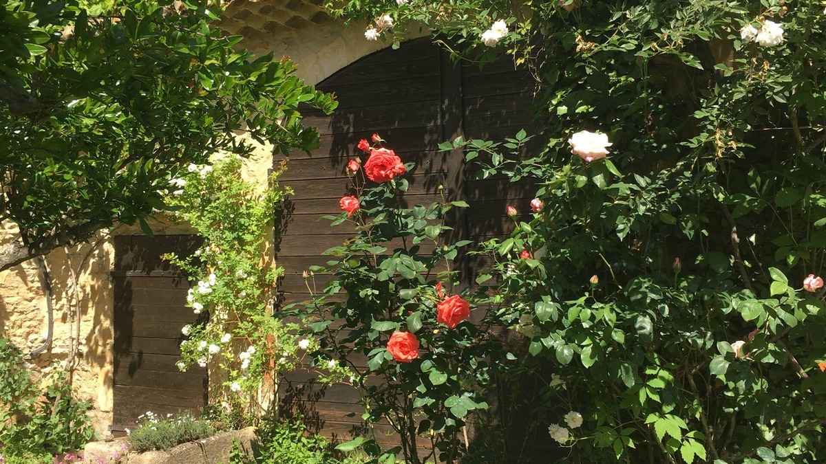 Piolenc Bed & Breakfast | Mas provençal