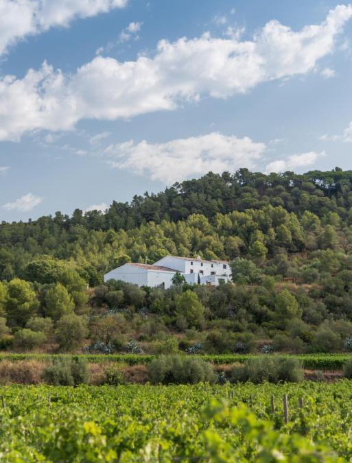 Canaletes House | Maset de la Costa