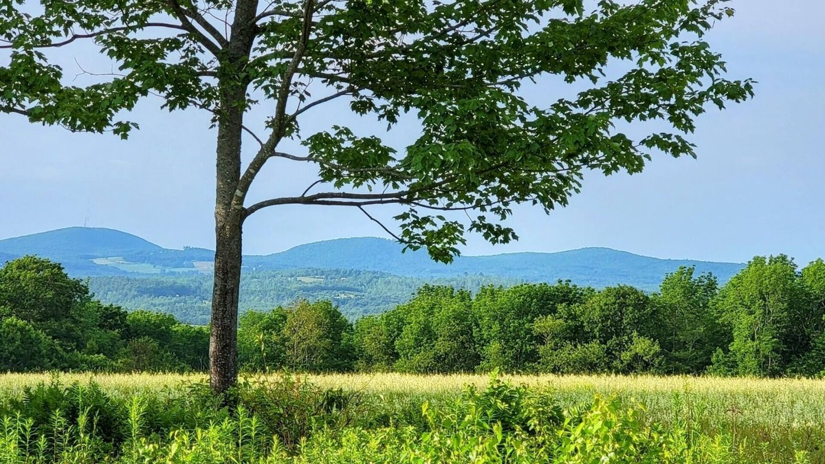 Jackson Cabin | Mason hill. Peaceful, quiet rustic 3 season camp with views.