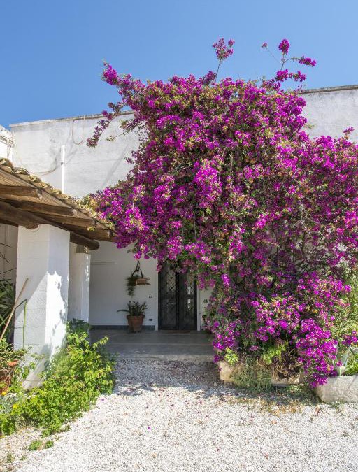 Torre Santa Susanna House | Masseria Bellamarina