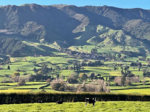 Okauia Bed & Breakfast | Matamata Lodge