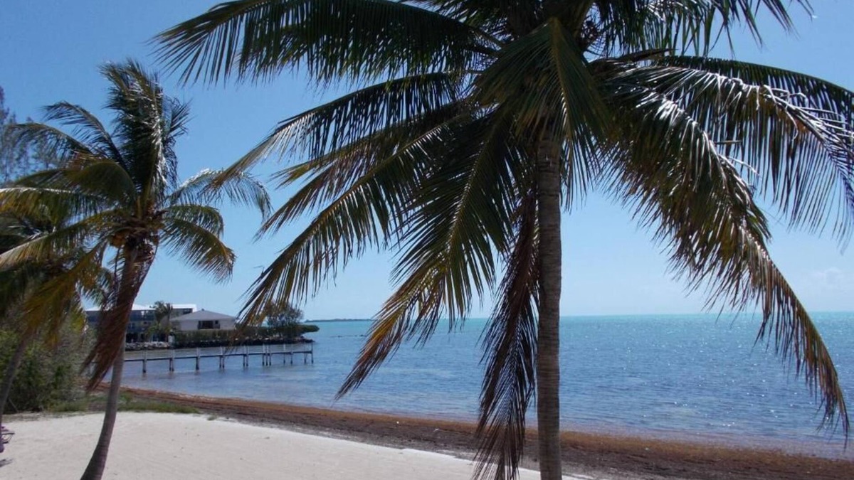 Islamorada Resort | Matecumbe Resort