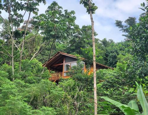 San Antonio de Cumbaza Cabin | MAYU PATANPI Amazon Lodges