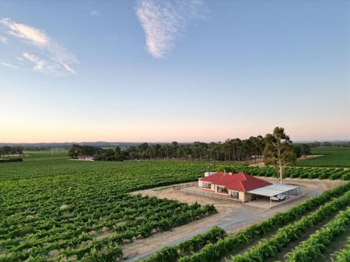 Angaston House | McGill Vineyard Barossa