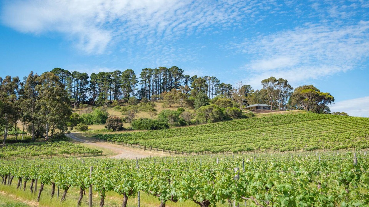 McLaren Flat House | McLaren Vale Getaways - Hillside House