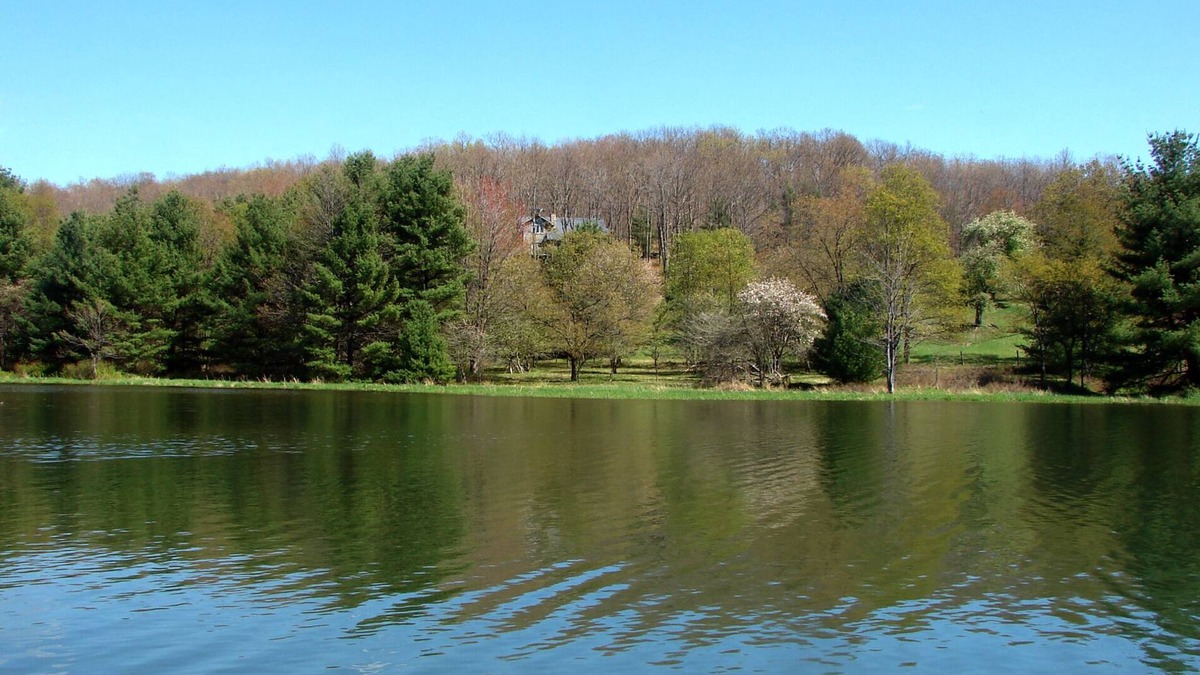 North Glade Hills House | Meadow Lake View: Lake Access, Dogs Welcome, Secluded, Dock Slip!
