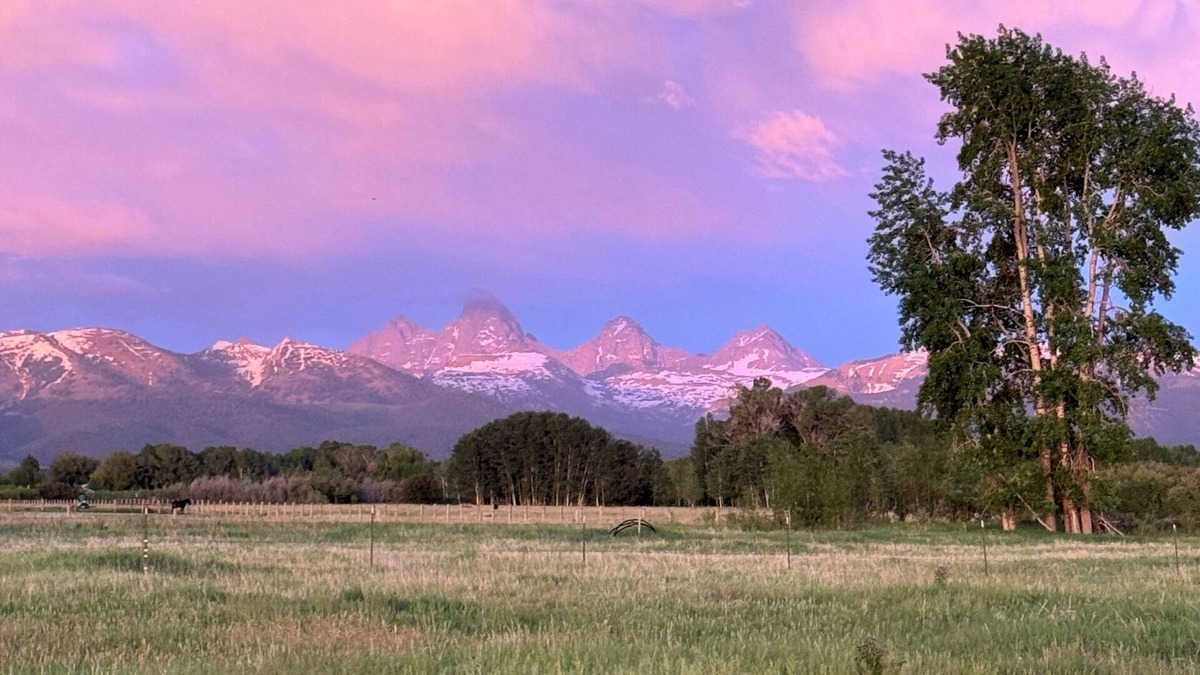 Tetonia RV Rental | Meadow View Tent Glamping