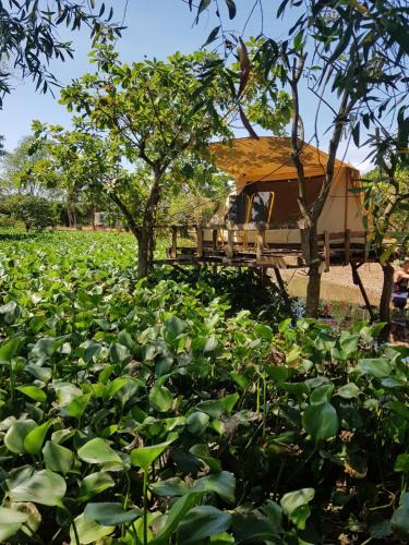 Vinh Cuu Other | Meeto Camping Hồ Trị An